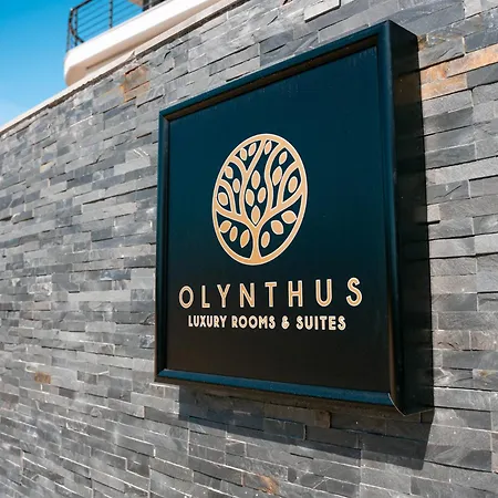 Olynthus Luxury & Aparthotel 3*