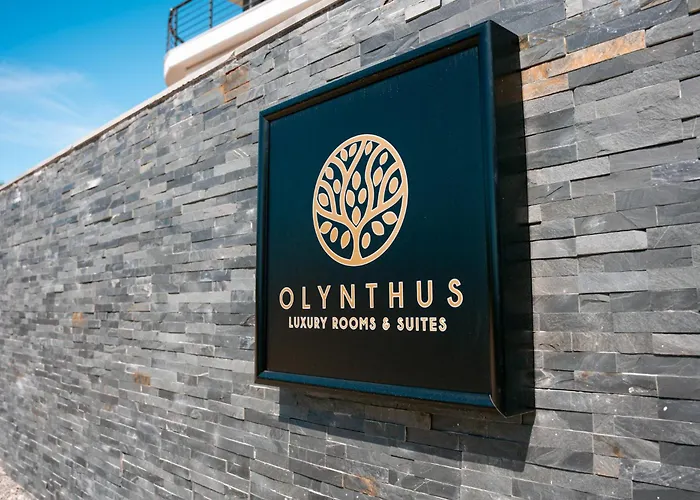 Olynthus Luxury & 아파트호텔 3*